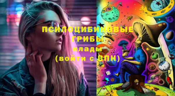 винт Верея