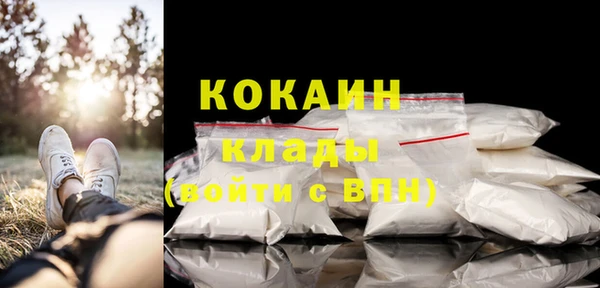 таблы Бородино