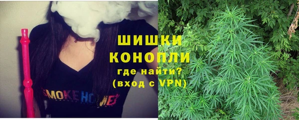 таблы Бородино