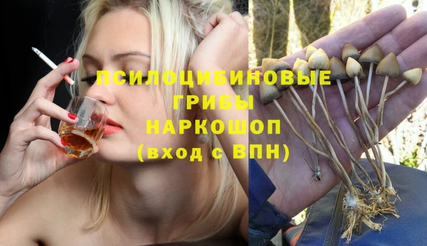 винт Верея